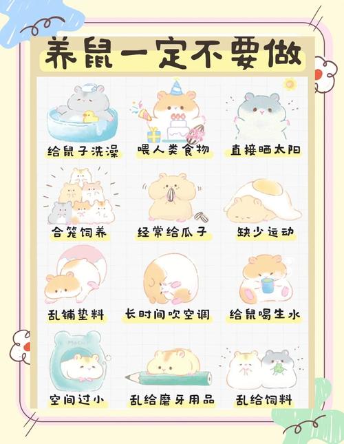 大学生千万别养仓鼠_宿舍禁养仓鼠，违规又伤神