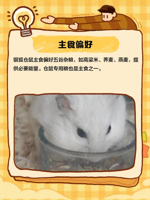 刚满月的仓鼠宝宝能吃什么_母乳到固体食物过渡 刚满月的仓鼠宝宝能吃什么_母乳到固体食物过渡