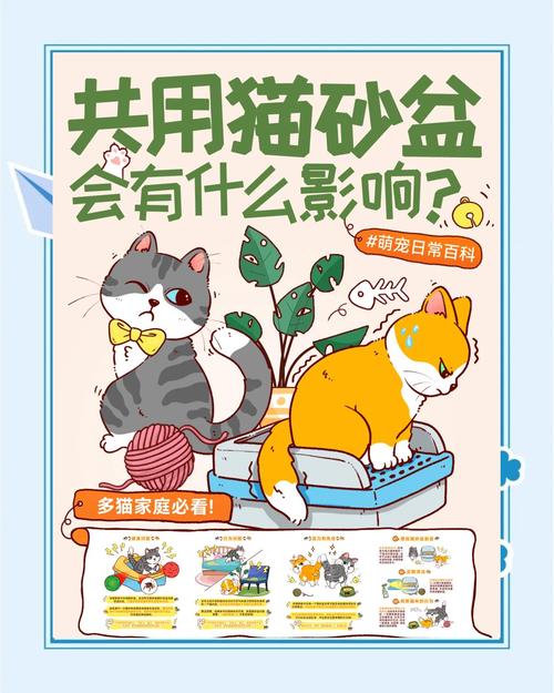 两只猫能共用一个猫砂盆吗_猫咪共用猫砂盆易冲突,建议多准备一个 两只猫能共用一个猫砂盆吗_猫咪共用猫砂盆易冲突,建议多准备一个