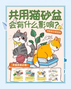 两只猫能共用一个猫砂盆吗_猫咪共用猫砂盆易冲突，建议多准备一个