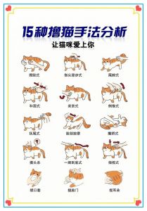 猫趴鼻吸式spa是干嘛的_猫趴SPA放松减压，猫式鼻吸助呼吸，身心同享好时光