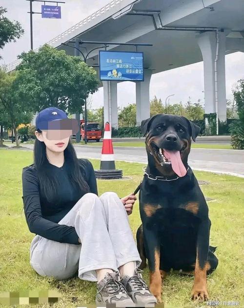 黑狗和美女玩耍结果是人是狗分不清_小黑痴缠母狗反被拒,人与动物情感趣事多 黑狗和美女玩耍结果是人是狗分不清_小黑痴缠母狗反被拒,人与动物情感趣事多