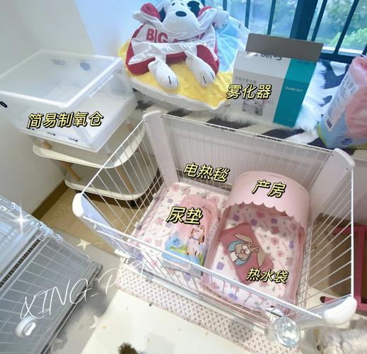 夏天狗生产时要准备什么_狗狗临盆,主人备好产房待生产 夏天狗生产时要准备什么_狗狗临盆,主人备好产房待生产