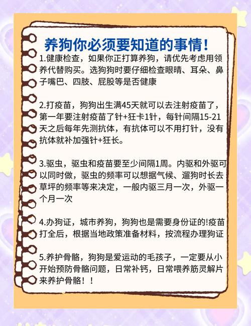 市里养狗需要办手续嘛_城市养狗须办证,合规养宠保环境 市里养狗需要办手续嘛_城市养狗须办证,合规养宠保环境