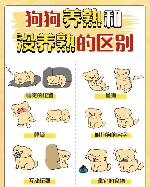 因狗引起的民事纠纷如何处理_狗咬伤后处理与赔偿 因狗引起的民事纠纷如何处理_狗咬伤后处理与赔偿