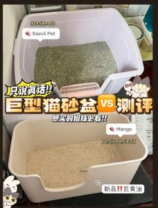 两只猫要几个猫砂盆_猫咪爱干净，多猫需多猫砂盆，勤清洁选好砂