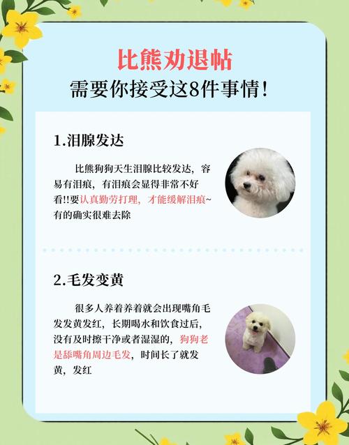 养柴犬的十大坏处_警惕性高易冲突,固执难训,需谨慎养 养柴犬的十大坏处_警惕性高易冲突,固执难训,需谨慎养