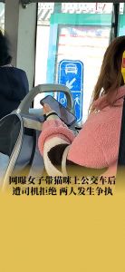 公交车上能带猫包吗_公交拒载带猫女子，规则执行引争议