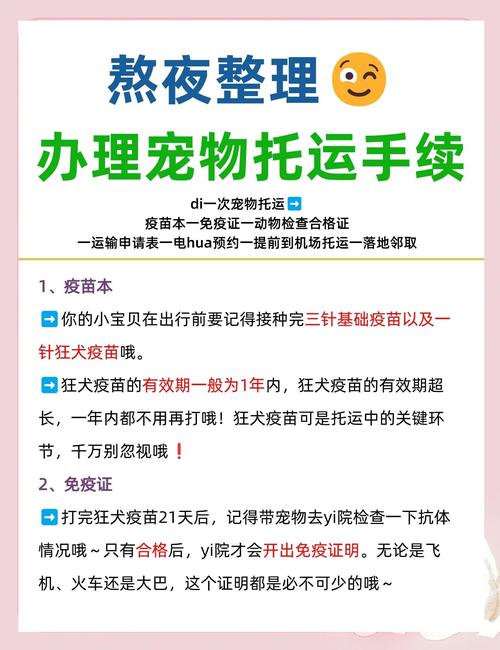 坐飞机带宠物狗需要什么手续_暑期带宠物坐飞机更方便了 坐飞机带宠物狗需要什么手续_暑期带宠物坐飞机更方便了