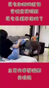 细狗和美女打架_草坪狗斗引冲突 男主猛踹升级 女子报警维权
