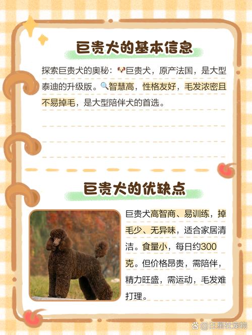 巨贵犬的优点和缺点_适合家庭但需耐心陪伴 巨贵犬的优点和缺点_适合家庭但需耐心陪伴