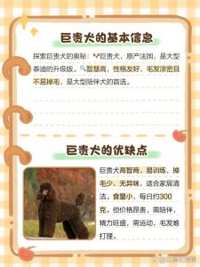 巨贵犬的优点和缺点_适合家庭但需耐心陪伴