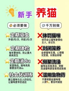 养英短猫十大禁忌_英短饮食洗澡注意事项，健康快乐生活小贴士