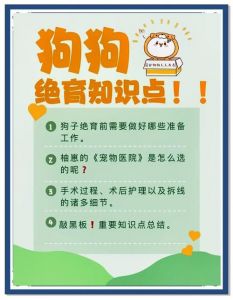 狗绝育的好处和坏处_绝育犬好处多，性格好少烦恼