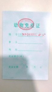 领养宠物狗需要什么手续_责任与爱心同行