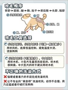 犬鼻泪管冲洗注意事项_狗狗流泪泪痕多？鼻泪管堵塞别忽视