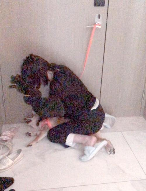 人被狗锁住40分钟_冷静安抚寻出路,勿强分狗锁时求援 人被狗锁住40分钟_冷静安抚寻出路,勿强分狗锁时求援