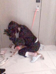 人被狗锁住40分钟_冷静安抚寻出路，勿强分狗锁时求援