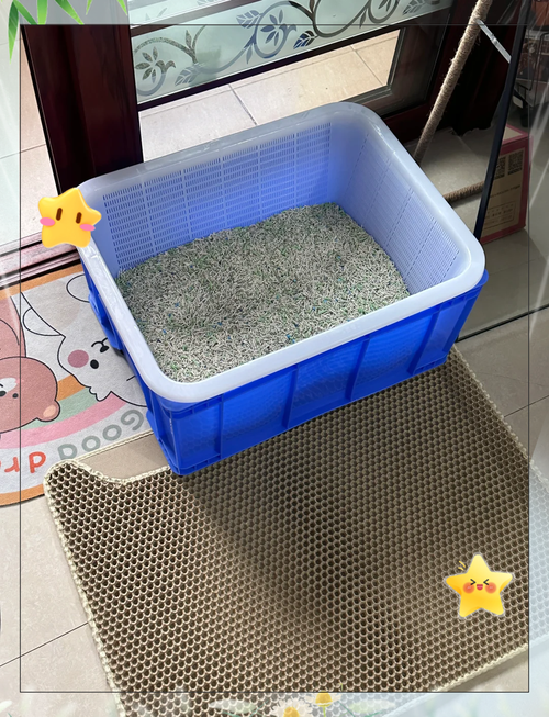 2只猫能共用猫砂盆吗_每只猫单独用猫砂盆 2只猫能共用猫砂盆吗_每只猫单独用猫砂盆