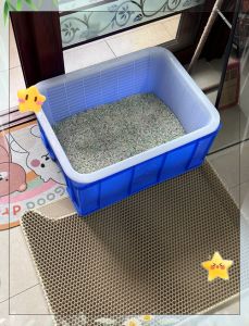 2只猫能共用猫砂盆吗_每只猫单独用猫砂盆