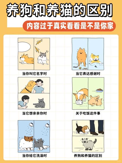 养猫和养狗的好处与坏处_选猫还是狗？看你的生活方式！