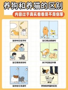 养猫和养狗的好处与坏处_选猫还是狗？看你的生活方式！