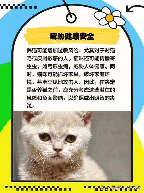 吸猫成瘾的10个征兆_警惕!你是个吸猫成瘾患者吗? 吸猫成瘾的10个征兆_警惕!你是个吸猫成瘾患者吗?