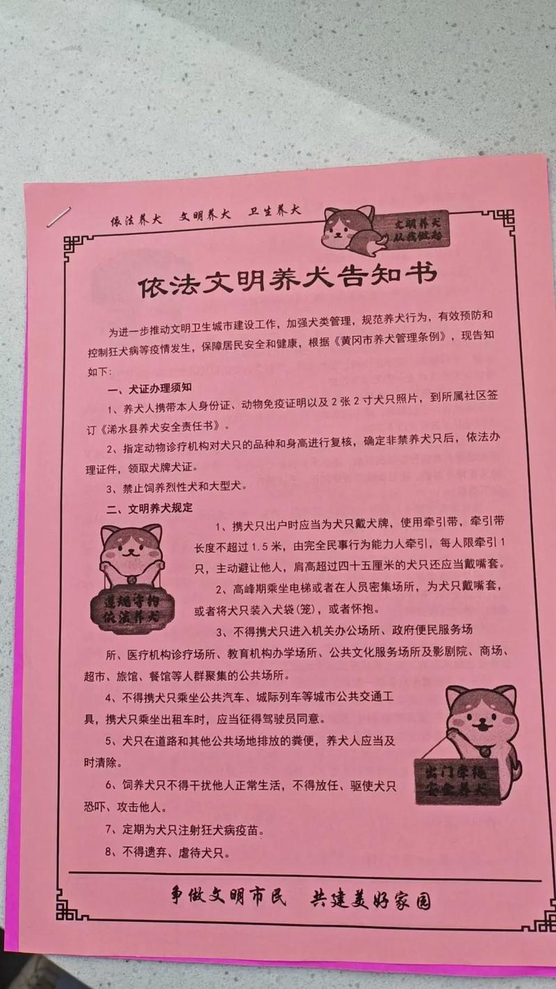 深圳养狗需要哪些手续_材料疫苗及注意事项 深圳养狗需要哪些手续_材料疫苗及注意事项