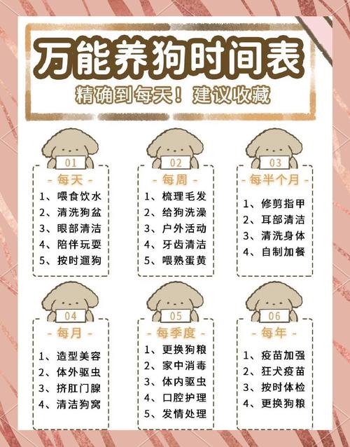 养一条宠物狗要准备什么_必备物品与注意事项 养一条宠物狗要准备什么_必备物品与注意事项