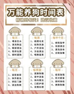 养一条宠物狗要准备什么_必备物品与注意事项