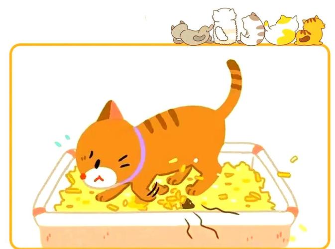猫疯狂刨猫砂是为什么_猫咪刨砂盆原因多,主人要细心观察 猫疯狂刨猫砂是为什么_猫咪刨砂盆原因多,主人要细心观察