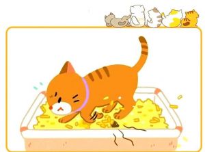 猫疯狂刨猫砂是为什么_猫咪刨砂盆原因多，主人要细心观察