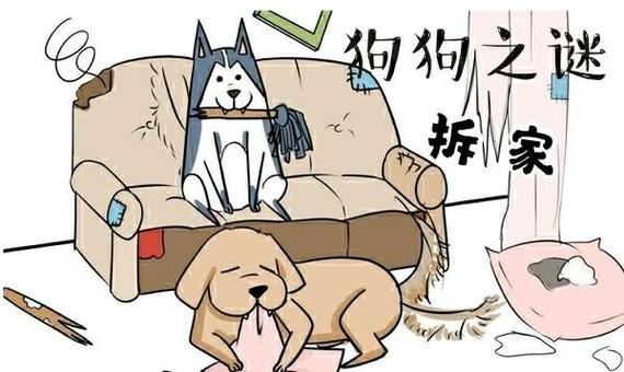 三大拆家犬_哈士奇阿拉斯加边牧拉布拉多泰迪 三大拆家犬_哈士奇阿拉斯加边牧拉布拉多泰迪
