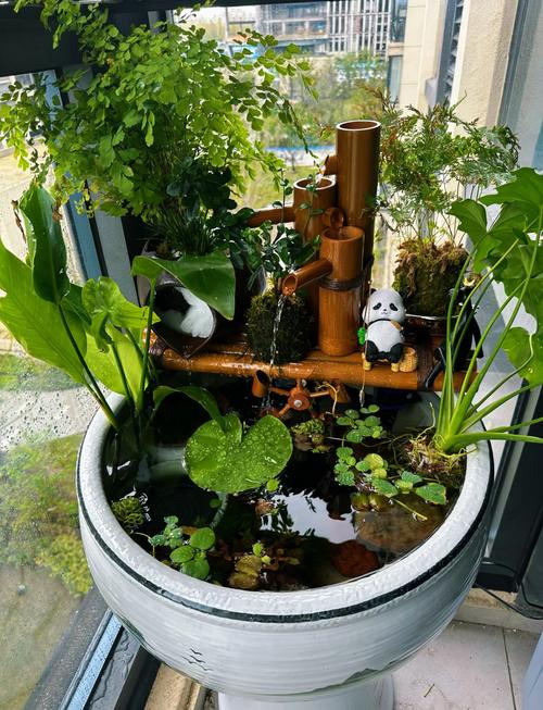 露天水缸适合养什么鱼_养露天水缸鱼，选强耐鱼草，打造生机景观