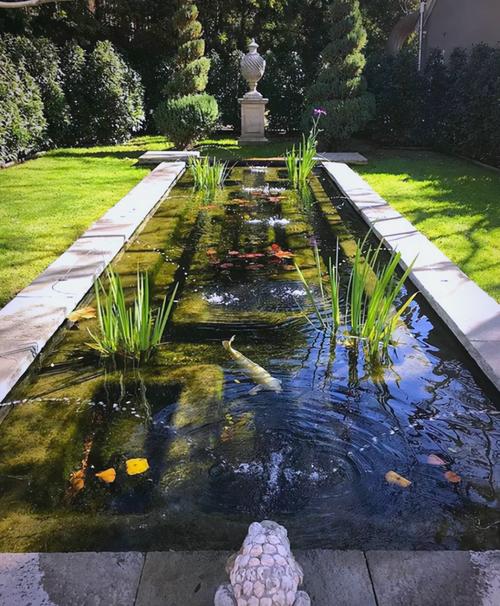 景观鱼池建造注意事项:阳光深度过滤与维护 景观鱼池建造注意事项:阳光深度过滤与维护