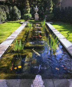 室外鱼池_防水衬垫简化建造，生态美观