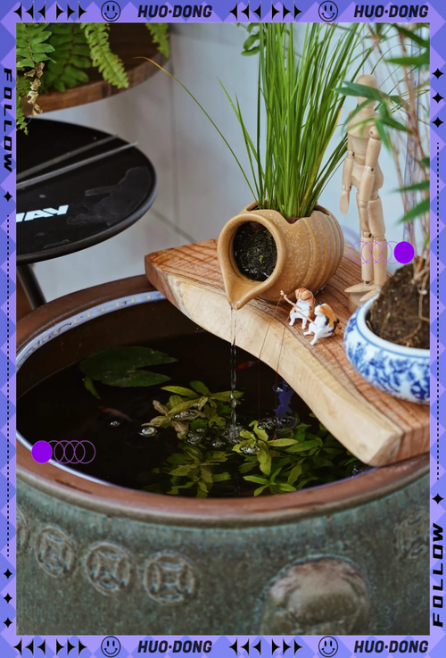 古法水缸养鱼的正确方法_造景净化,少喂勤换,清水养鱼 古法水缸养鱼的正确方法_造景净化,少喂勤换,清水养鱼