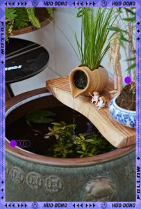 古法水缸养鱼的正确方法_造景净化，少喂勤换，清水养鱼