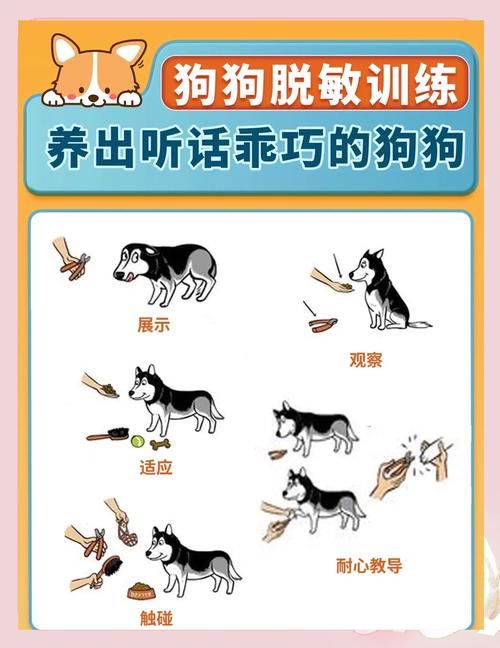 极度怕狗怎么办怎么克服_慢慢接触,读懂狗狗语言 极度怕狗怎么办怎么克服_慢慢接触,读懂狗狗语言