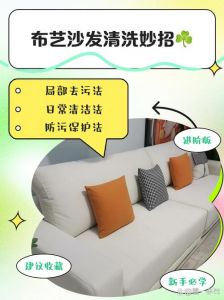 沙发喷风油精防止猫抓_猫咪抓沙发怎么办？简单预防妙招来啦！