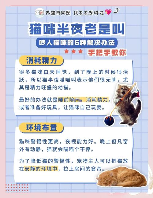 猫搬新家整夜叫怎么办_猫咪新家夜叫？安抚陪伴帮它适应