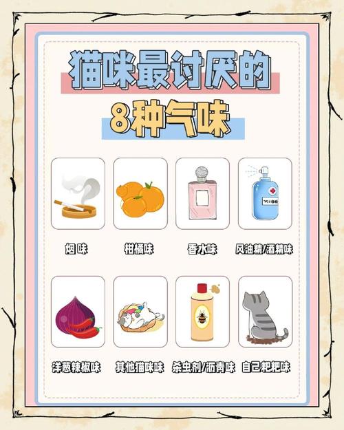 猫尝不出来什么味道_不爱甜食,重咸鲜 猫尝不出来什么味道_不爱甜食,重咸鲜