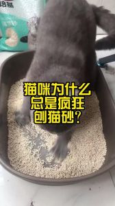 猫刨猫砂太使劲了_猫咪刨砂盆太用力？砂选对盆放好！