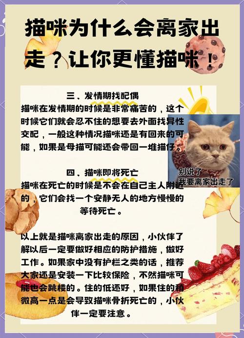 把小猫送走母猫会离家出走吗_小猫离巢母猫失落？别担心，这样帮它渡过！