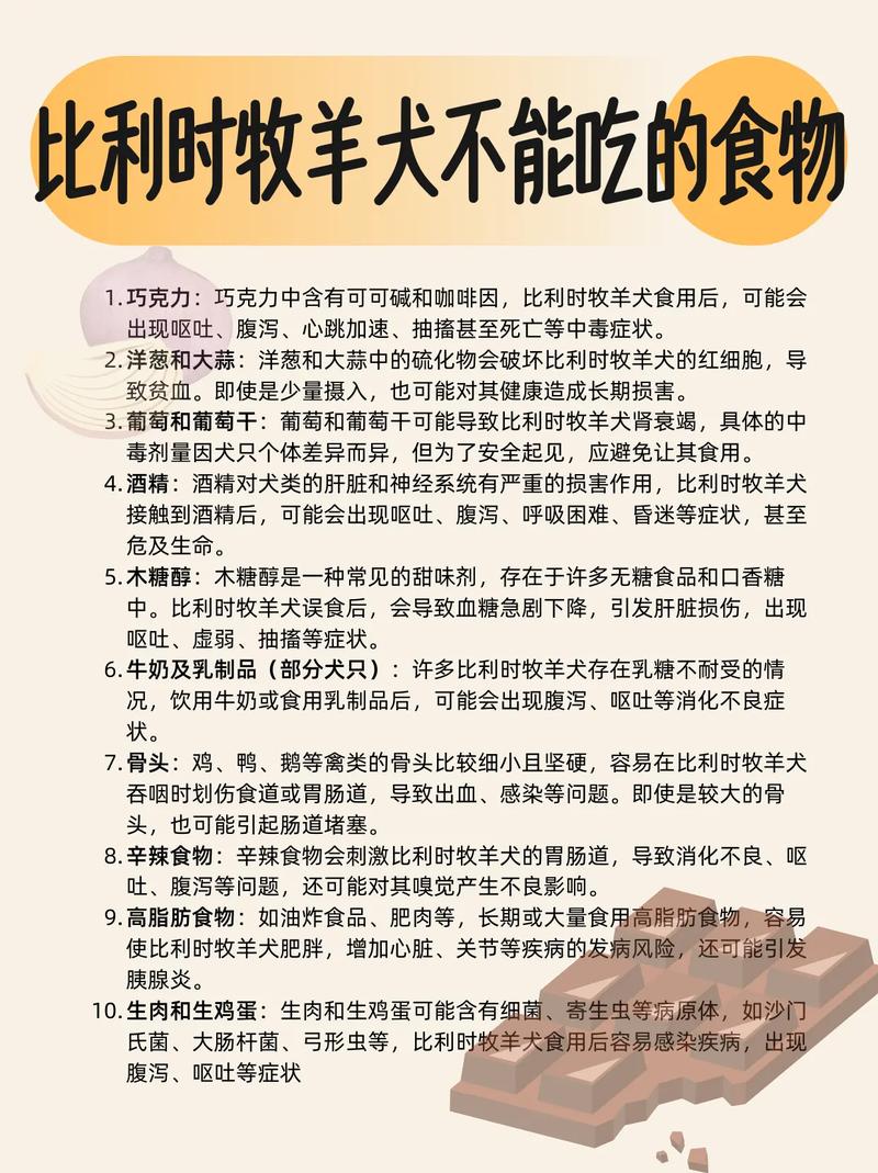 比利时牧羊犬禁养吗_比利时牧羊犬禁养引争议,安全权益如何平衡? 比利时牧羊犬禁养吗_比利时牧羊犬禁养引争议,安全权益如何平衡?