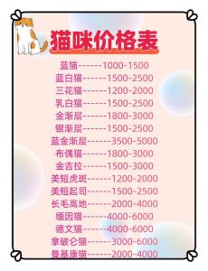 养一只猫的费用_养猫20年花费14.7万，养猫需长远经济支持