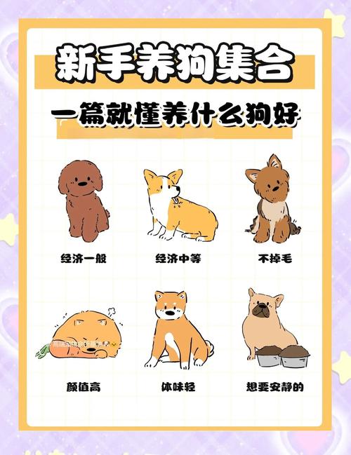 初次养狗小技巧_狗粮水盆窝等,养狗是长期承诺! 初次养狗小技巧_狗粮水盆窝等,养狗是长期承诺!