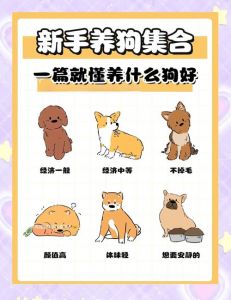 初次养狗小技巧_狗粮水盆窝等，养狗是长期承诺！