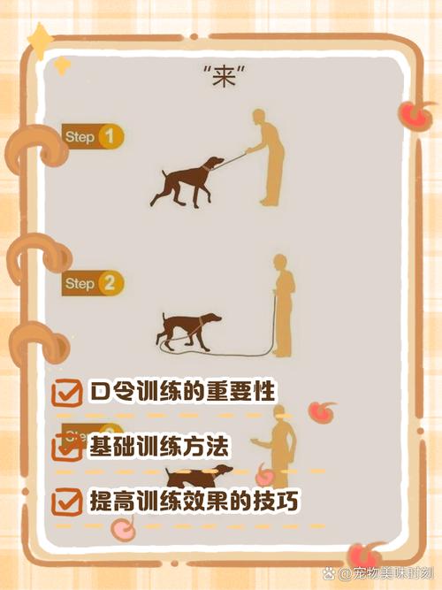 小幼犬怎么训练大小便_看信号及时引导,耐心奖励不打骂 小幼犬怎么训练大小便_看信号及时引导,耐心奖励不打骂