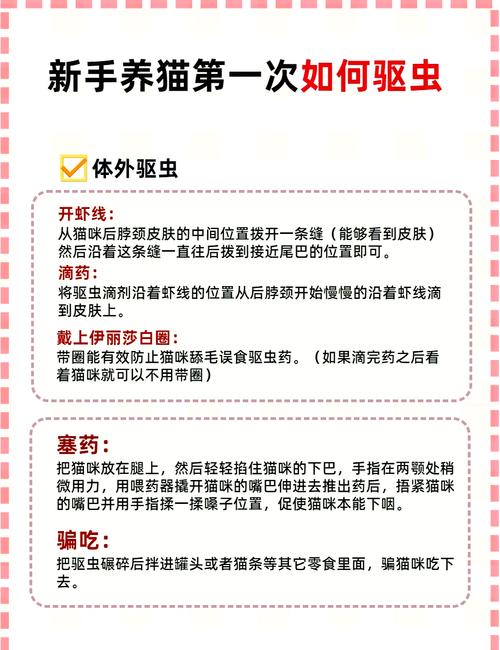 驱猫最有效5种小妙招_气味声音光线妙用,物理心理方法安全 驱猫最有效5种小妙招_气味声音光线妙用,物理心理方法安全